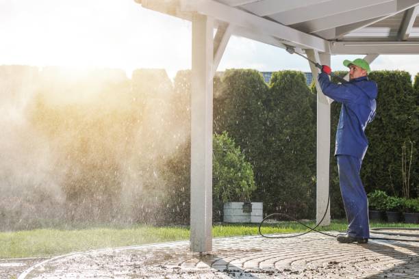 Best Roof Washing  in Paulsboro, NJ