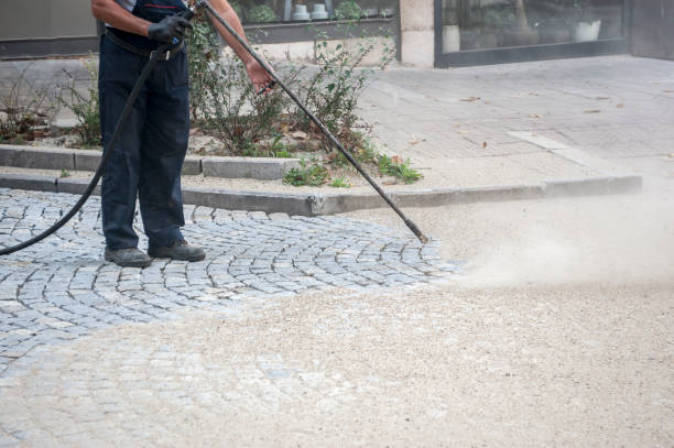 Best Fence Cleaning  in Paulsboro, NJ