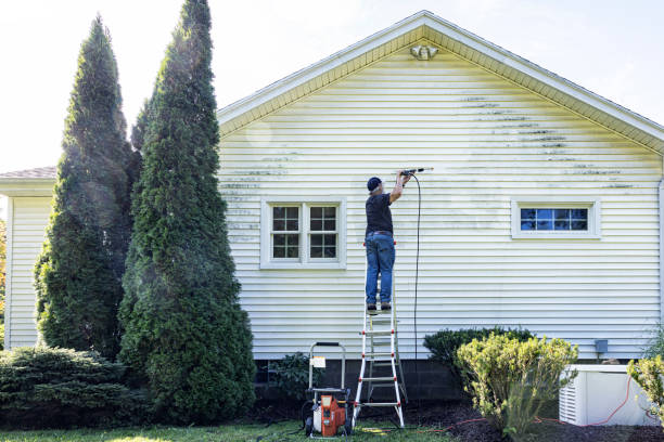 Best Patio and Deck Pressure Washing  in Paulsboro, NJ